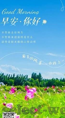 威尔士足球比分-威尔士足球比分，绿茵场上的激情与荣耀交织